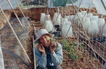 Late April 1992 A homemade poly tunnel for wind protection, water retention, greater humidity and warmer nighttime temperatures.
